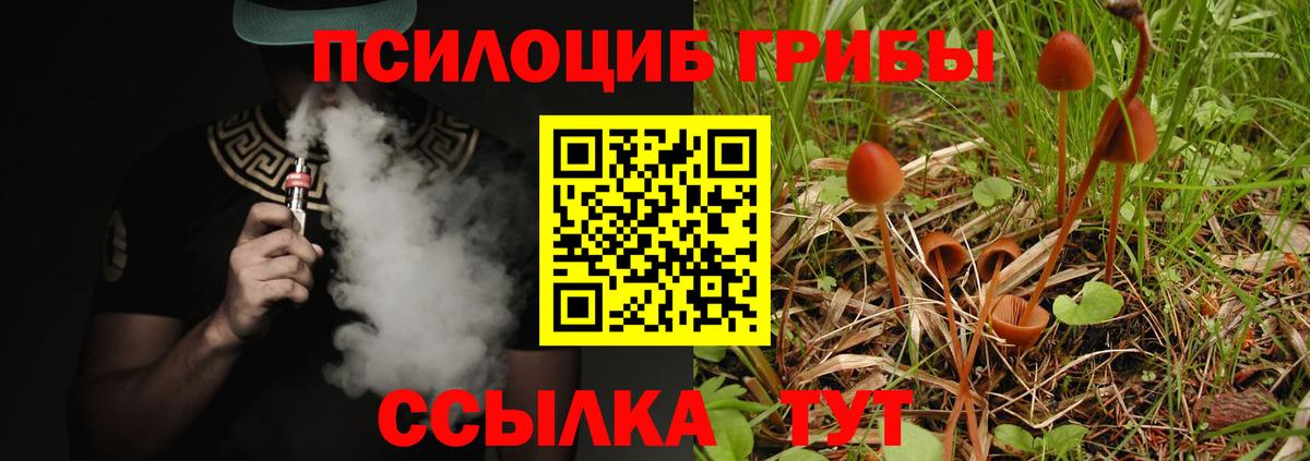 Шарыпово  Псилоцибиновые грибы Magic Shrooms  Вход с VPN 